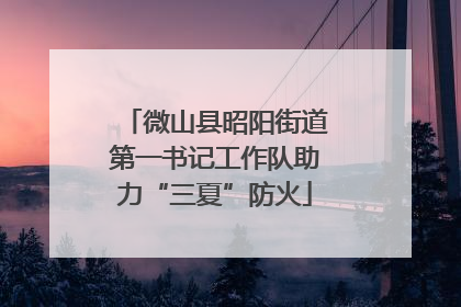 微山县昭阳街道第一书记工作队助力“三夏”防火