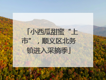 小西瓜甜蜜“上市”，顺义区北务镇进入采摘季