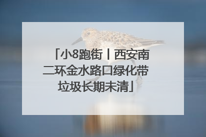 小8跑街丨西安南二环金水路口绿化带垃圾长期未清