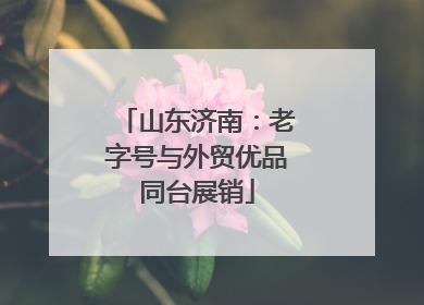 山东济南：老字号与外贸优品同台展销