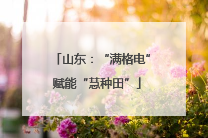 山东：“满格电”赋能“慧种田”