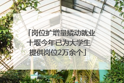 岗位扩增量撬动就业 十堰今年已为大学生提供岗位2万余个