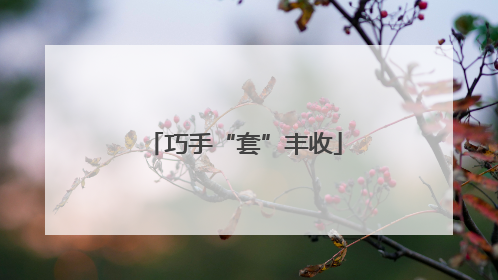 巧手“套”丰收