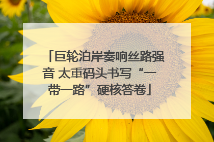巨轮泊岸奏响丝路强音 太重码头书写“一带一路”硬核答卷