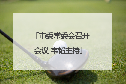 市委常委会召开会议 韦韬主持