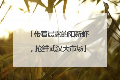 带着晨露的阳新虾，抢鲜武汉大市场