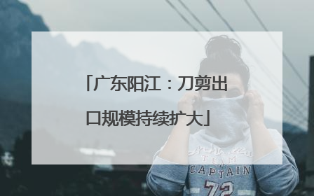 广东阳江：刀剪出口规模持续扩大