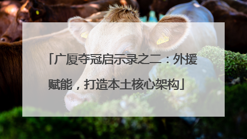 广厦夺冠启示录之二：外援赋能，打造本土核心架构