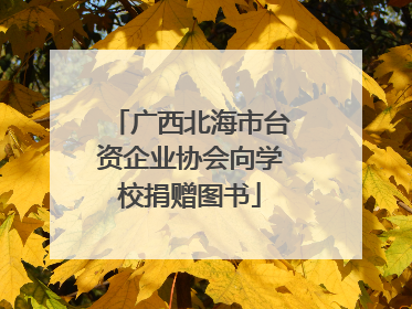 广西北海市台资企业协会向学校捐赠图书