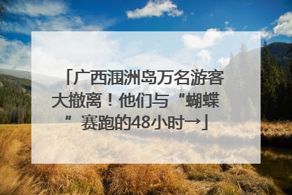 广西涠洲岛万名游客大撤离！他们与“蝴蝶”赛跑的48小时→