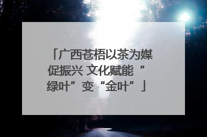 广西苍梧以茶为媒促振兴 文化赋能“绿叶”变“金叶”