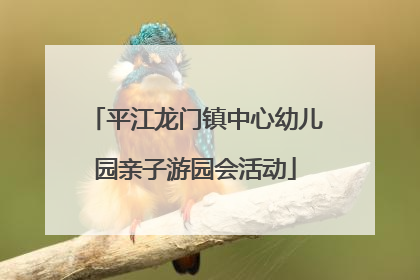 平江龙门镇中心幼儿园亲子游园会活动