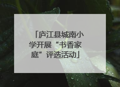 庐江县城南小学开展“书香家庭”评选活动