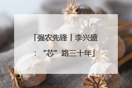 强农先锋丨李兴盛：“芯”路三十年