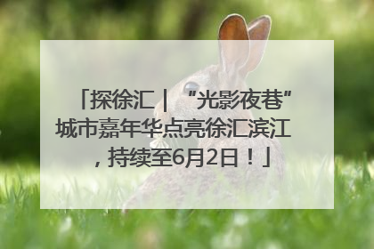 探徐汇｜“光影夜巷”城市嘉年华点亮徐汇滨江，持续至6月2日！