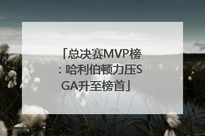 总决赛MVP榜：哈利伯顿力压SGA升至榜首