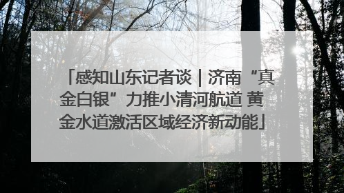 感知山东记者谈｜济南“真金白银”力推小清河航道 黄金水道激活区域经济新动能