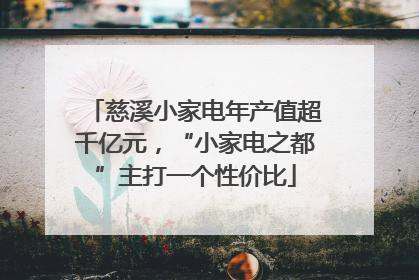 慈溪小家电年产值超千亿元，“小家电之都”主打一个性价比