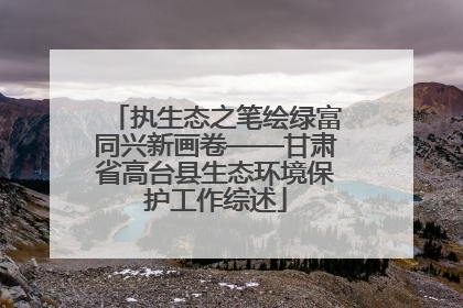 执生态之笔绘绿富同兴新画卷——甘肃省高台县生态环境保护工作综述