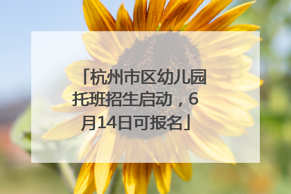 杭州市区幼儿园托班招生启动，6月14日可报名