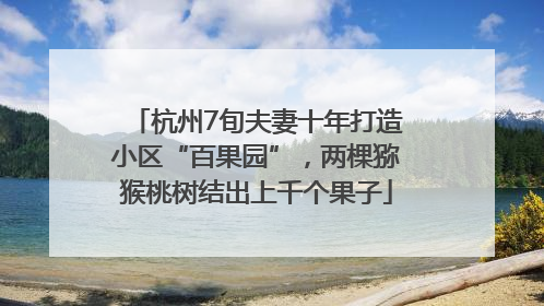 杭州7旬夫妻十年打造小区“百果园”，两棵猕猴桃树结出上千个果子