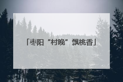 枣阳“村晚”飘桃香