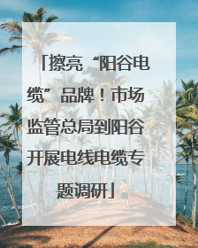 擦亮“阳谷电缆”品牌！市场监管总局到阳谷开展电线电缆专题调研