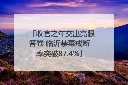 收官之年交出亮眼答卷 临沂禁毒戒断率突破87.4%