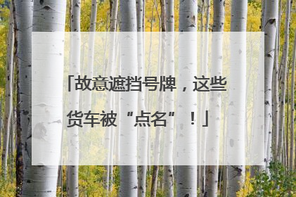故意遮挡号牌，这些货车被“点名”！
