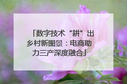 数字技术“耕”出乡村新图景：电商助力三产深度融合