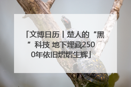 文博日历丨楚人的“黑”科技 地下埋藏2500年依旧熠熠生辉