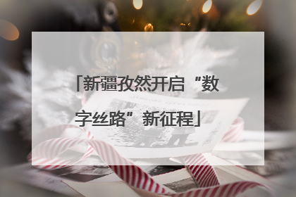 新疆孜然开启“数字丝路”新征程
