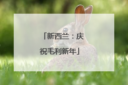 新西兰：庆祝毛利新年