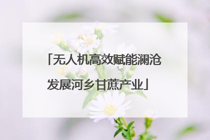 无人机高效赋能澜沧发展河乡甘蔗产业