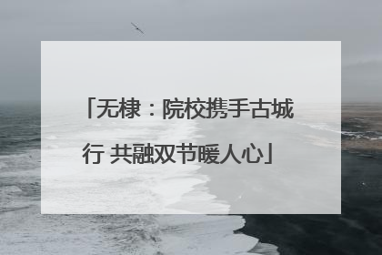 无棣：院校携手古城行 共融双节暖人心