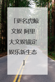 更名虎鲸文娱 阿里大文娱锚定娱乐新生态