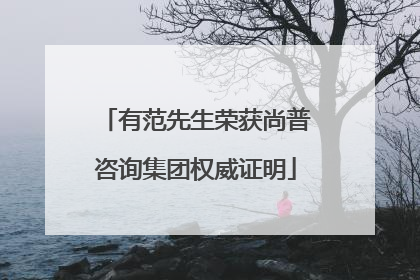 有范先生荣获尚普咨询集团权威证明