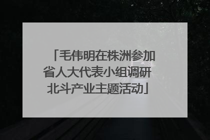 毛伟明在株洲参加省人大代表小组调研北斗产业主题活动