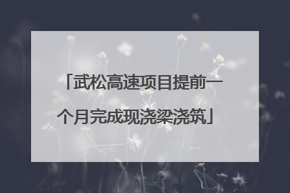 武松高速项目提前一个月完成现浇梁浇筑