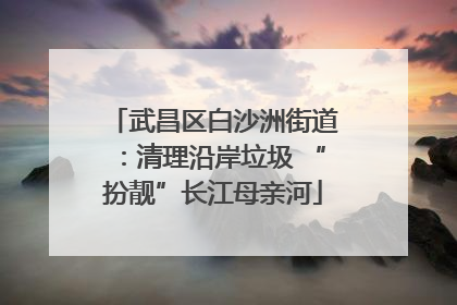 武昌区白沙洲街道：清理沿岸垃圾 “扮靓”长江母亲河