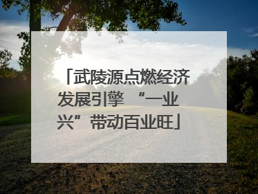 武陵源点燃经济发展引擎 “一业兴”带动百业旺