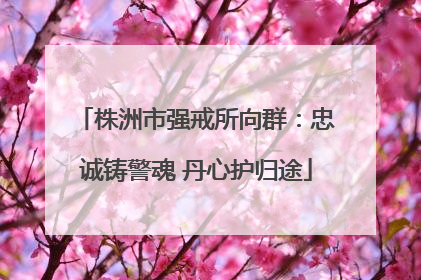 株洲市强戒所向群：忠诚铸警魂 丹心护归途