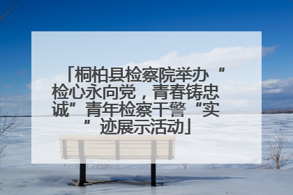 桐柏县检察院举办“检心永向党，青春铸忠诚”青年检察干警“实”迹展示活动