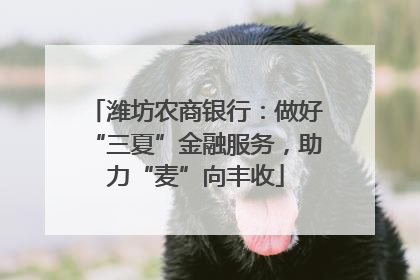 潍坊农商银行：做好“三夏”金融服务，助力“麦”向丰收