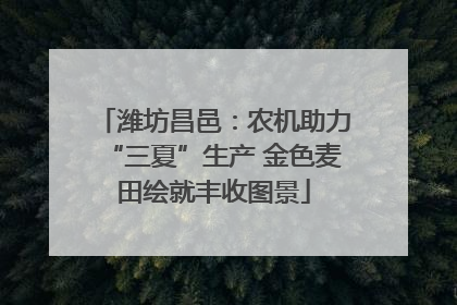 潍坊昌邑：农机助力“三夏”生产 金色麦田绘就丰收图景
