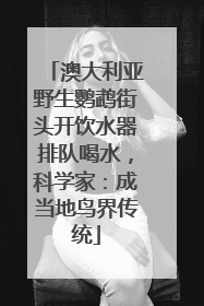 澳大利亚野生鹦鹉街头开饮水器排队喝水，科学家：成当地鸟界传统
