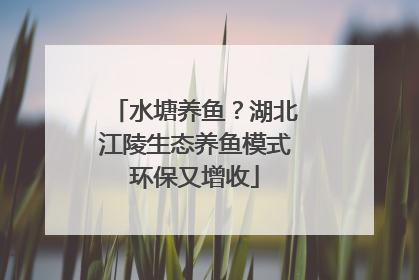 水塘养鱼？湖北江陵生态养鱼模式环保又增收