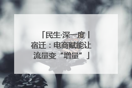 民生·深一度丨宿迁：电商赋能让流量变“增量”