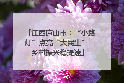 江西庐山市：“小路灯”点亮“大民生” 乡村振兴稳提速