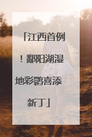 江西首例！鄱阳湖湿地彩鹮喜添新丁